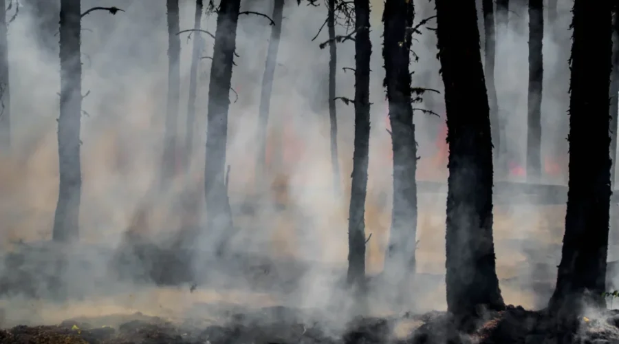 Forest fires continue to burn in New Brunswick