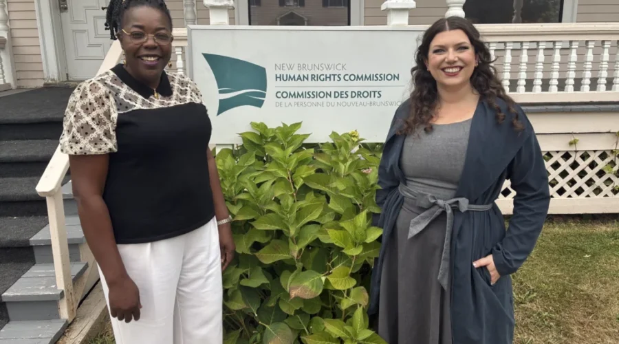 New chair appointed to human rights commission