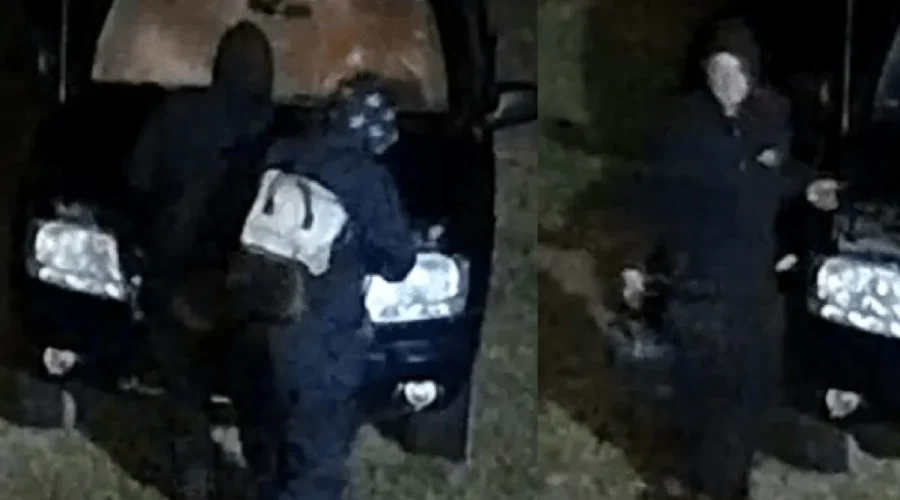 Mounties seek 2 people in Shediac-area incidents