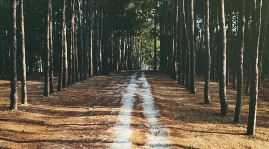 SERSC looking for input on future trail