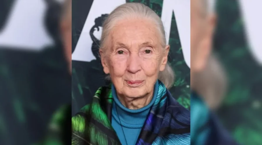 Conservationist Dr. Jane Goodall dies at 91