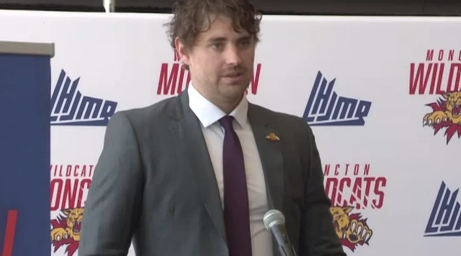 The ‘Cats are home and ready to pounce