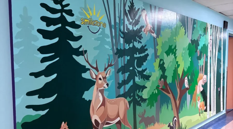 Moncton Hospital unveils Smilezones to brighten care