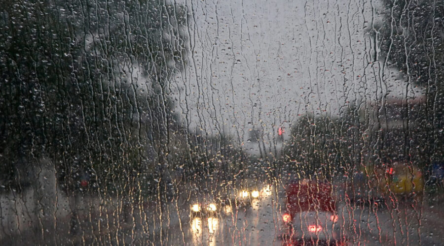 Warm, wet and windy system targets southern N.B.