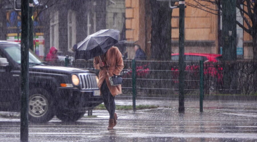 High winds and rain for southern N.B.