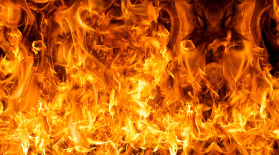 Man, two dogs found dead in fire in Bathurst home