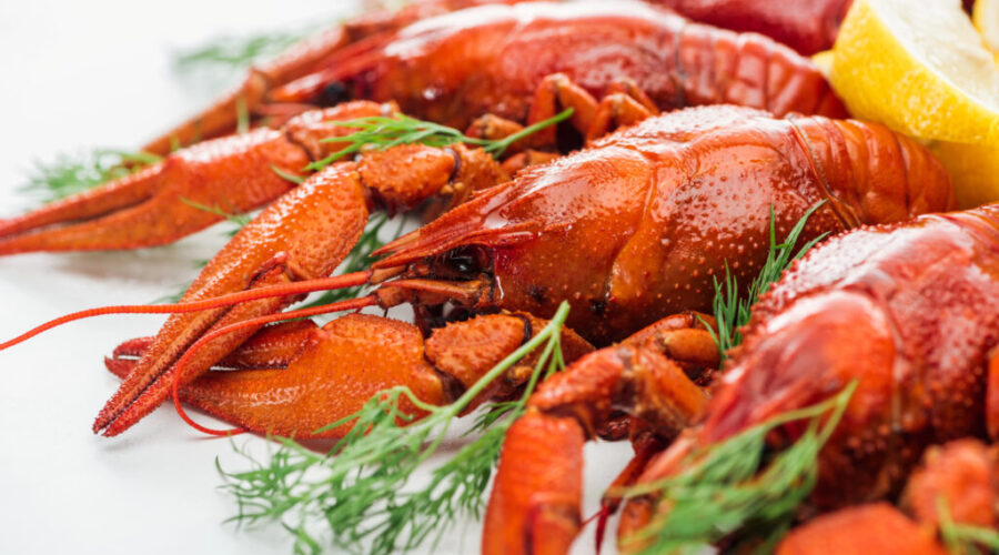 Chinese deal ‘great news for lobster industry’ says Lobster Council of Canada head