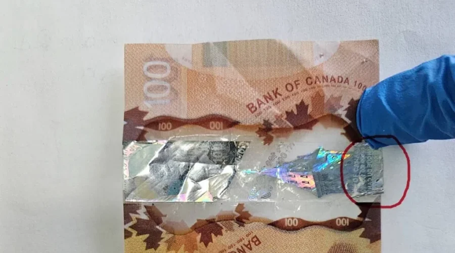 Fake cash circulating in Moncton, police warn