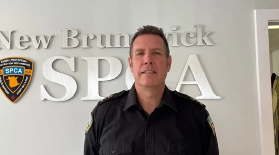 New NBSPCA chief focuses on prevention, outreach
