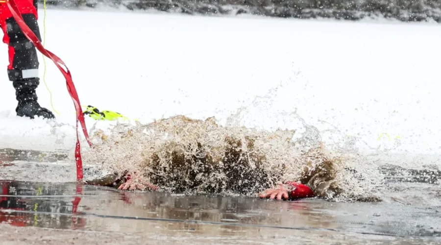 Fifty people take the plunge in Dorchester on New Year’s Day