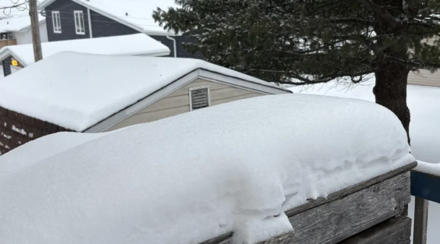 Snowfall to continue into Monday night