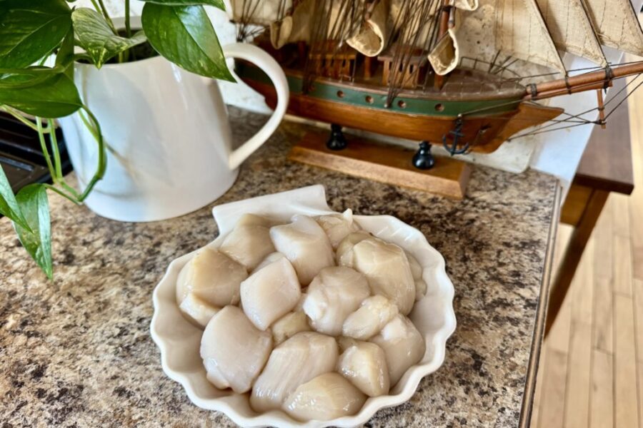 Supporting Our Local Fishermen: Scallop Season Is in Full Swing!