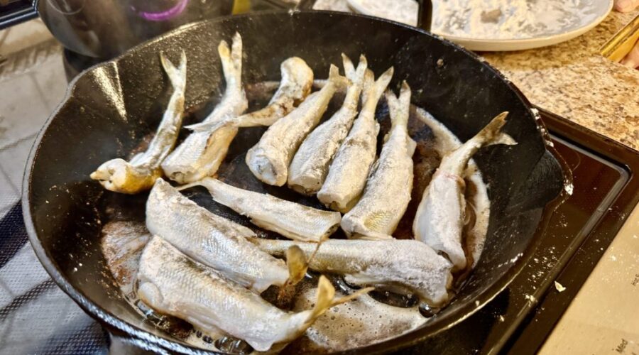 Smelt Season in New Brunswick