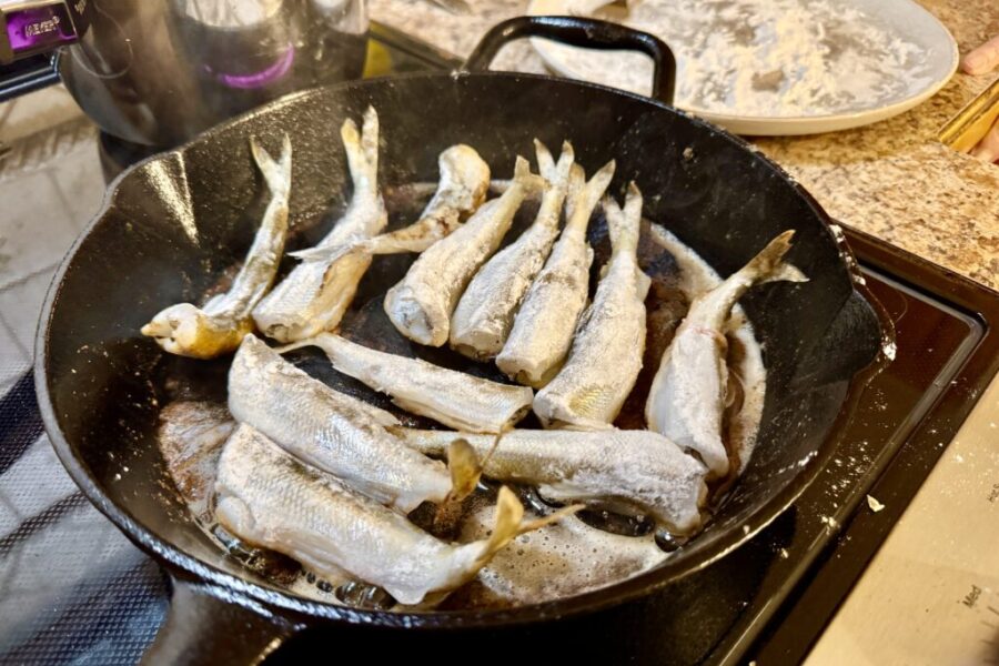 Smelt Season in New Brunswick