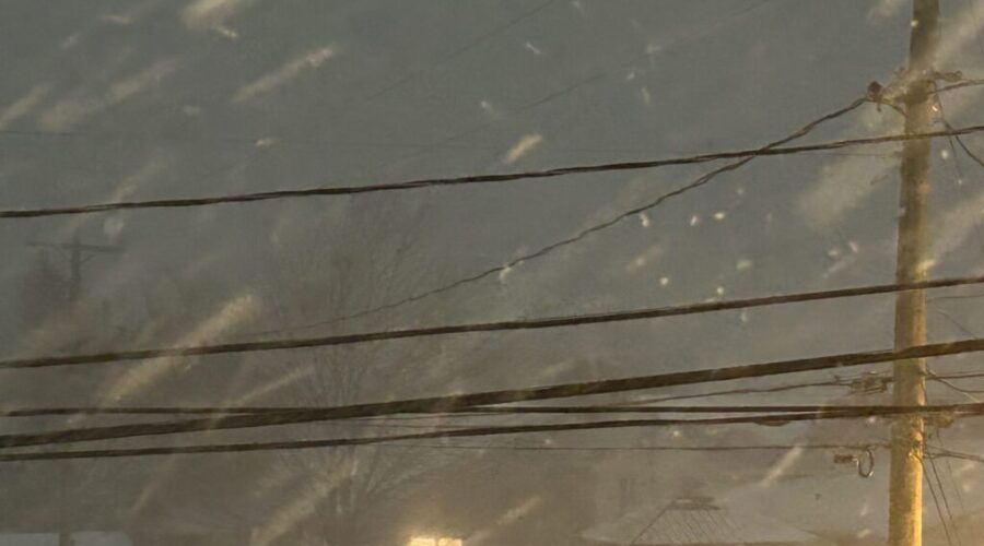 Closures and delayed school openings on Tuesday, Feb. 24