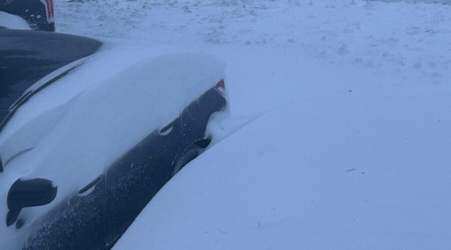 Cleanup begins after severe winter storm