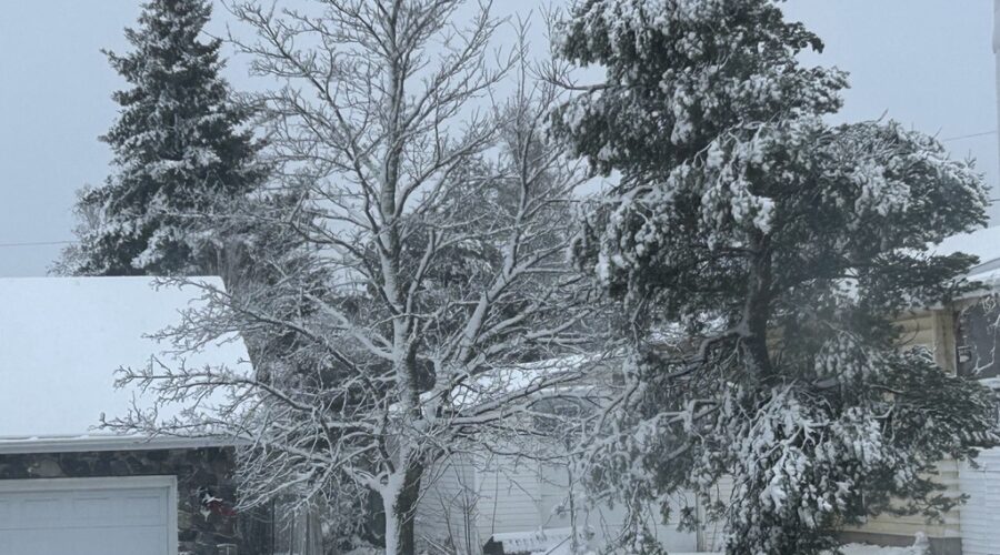 More snow and high winds for N.B.