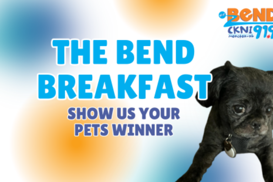Meet Pixie, Show Us Your Pets Winner