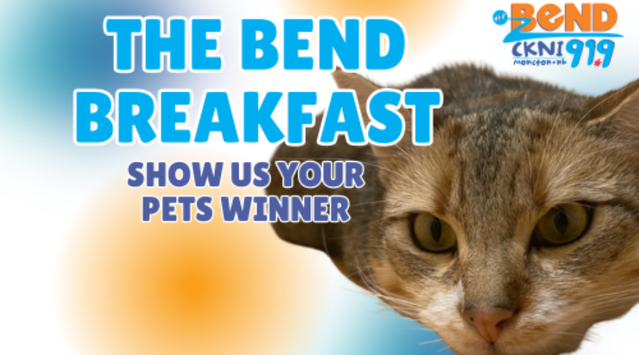 Meet Mimi, Show Us Your Pets Winner