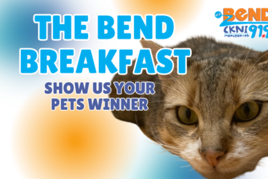 Meet Mimi, Show Us Your Pets Winner