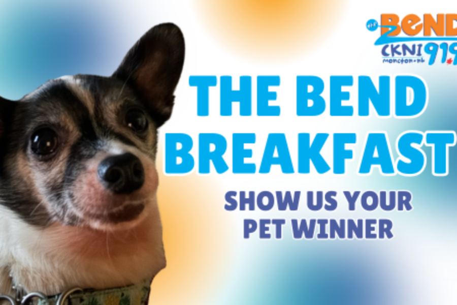 Meet Louie, Show Us Your Pets Winner