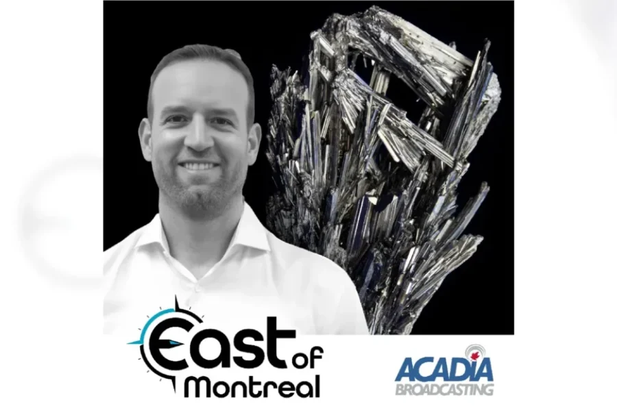 Critical Minerals – the New Gold Rush?