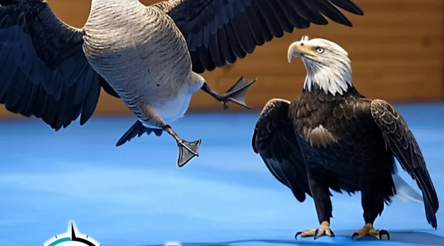 Tariff wars, Federal Election, Carney, what does it all mean for Atlantic Canadian businesses?