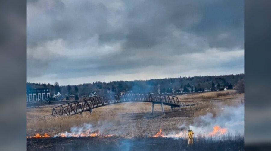 Marsh fire in Moncton