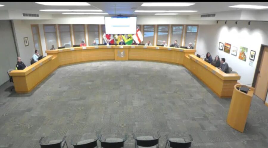 Next Riverview town council to be paid more