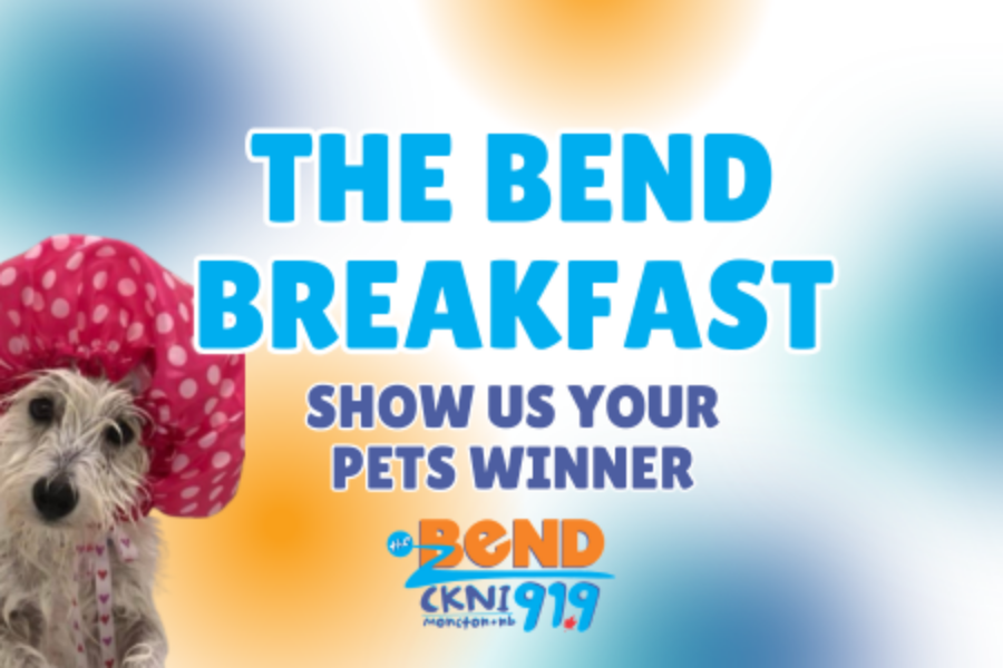 Meet Sophie, Show Us Your Pets Winner!