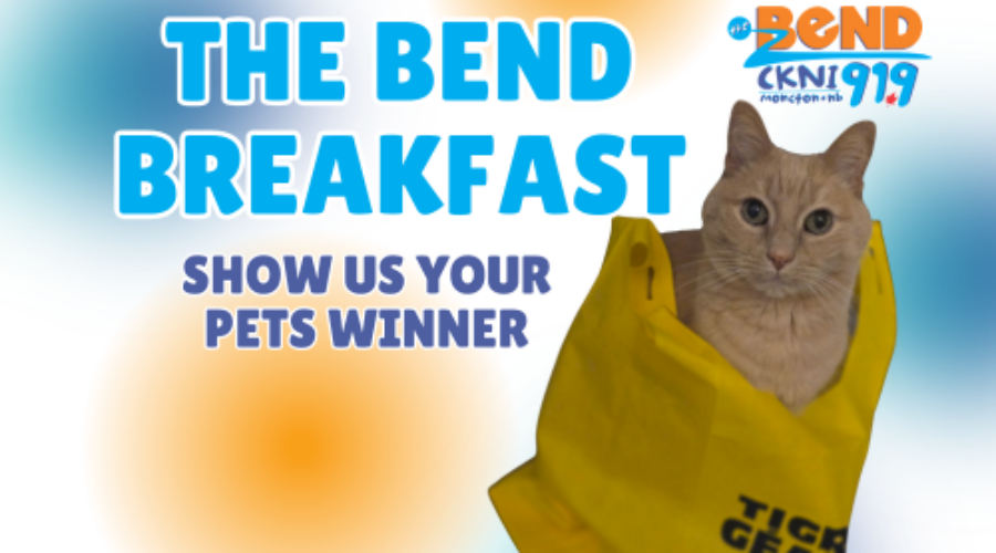 Meet Max, the Show Us Your Pets Winner!