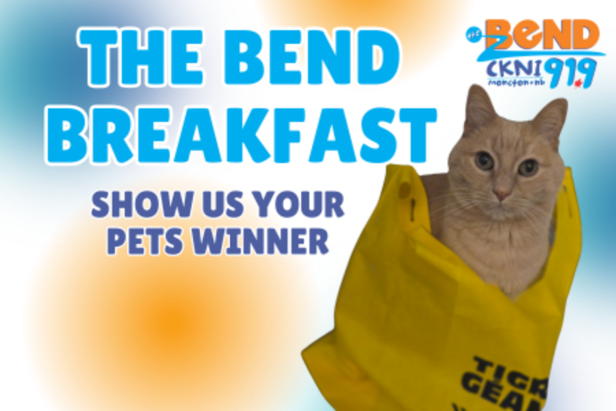 Meet Max, the Show Us Your Pets Winner!
