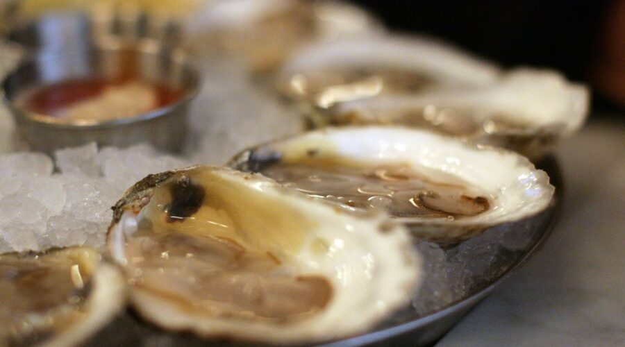 New Brunswick Seafood – Oysters