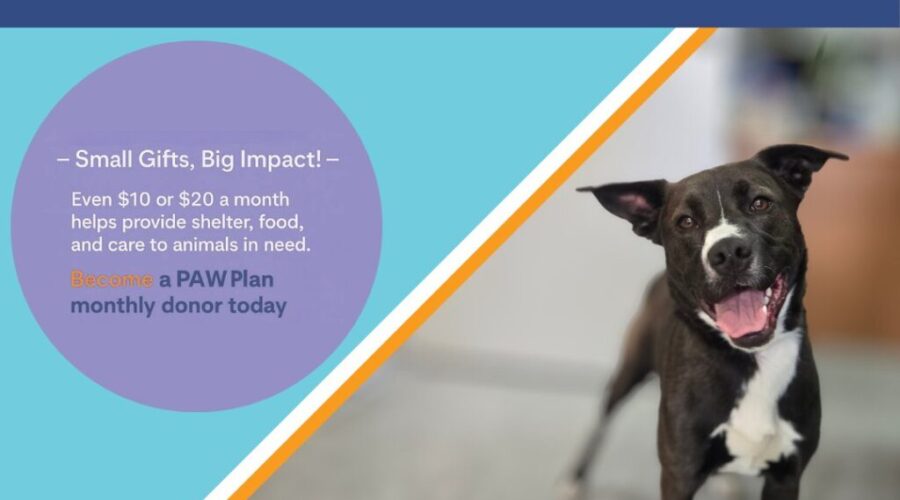 PAW:  A Little Each Month Goes a Long Way 