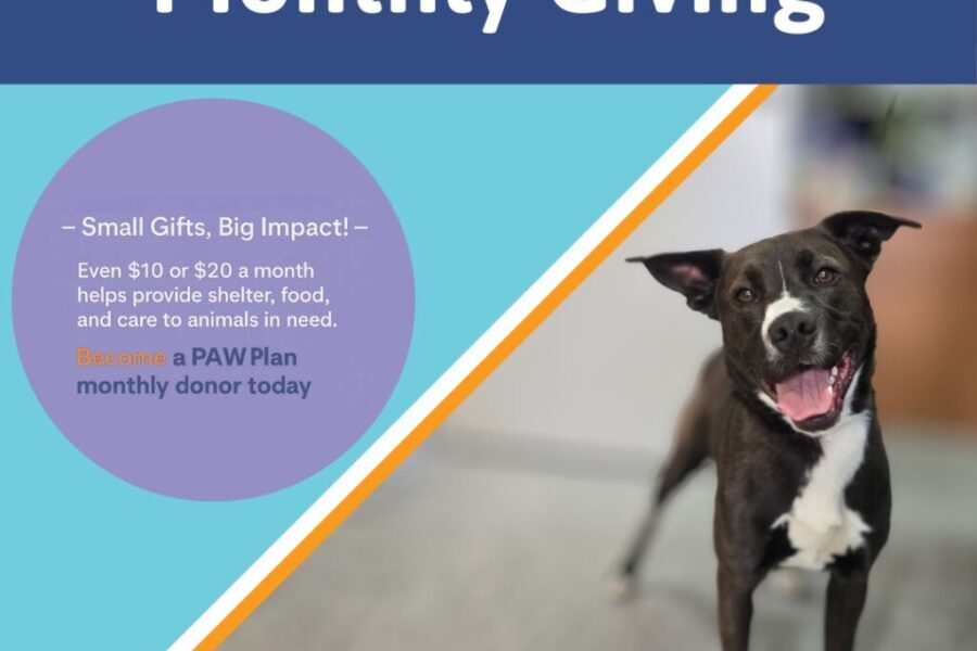 PAW:  A Little Each Month Goes a Long Way 