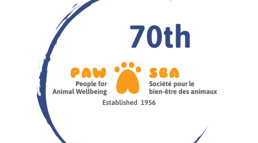 PAW: People for Animal Wellbeing – Meet Kanye