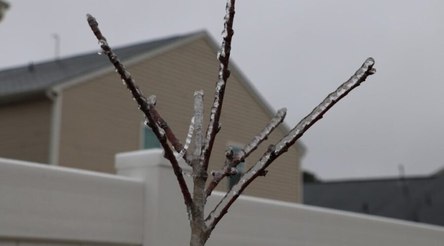 Messy conditions after snow, freezing rain, and ice pellets in N.B.
