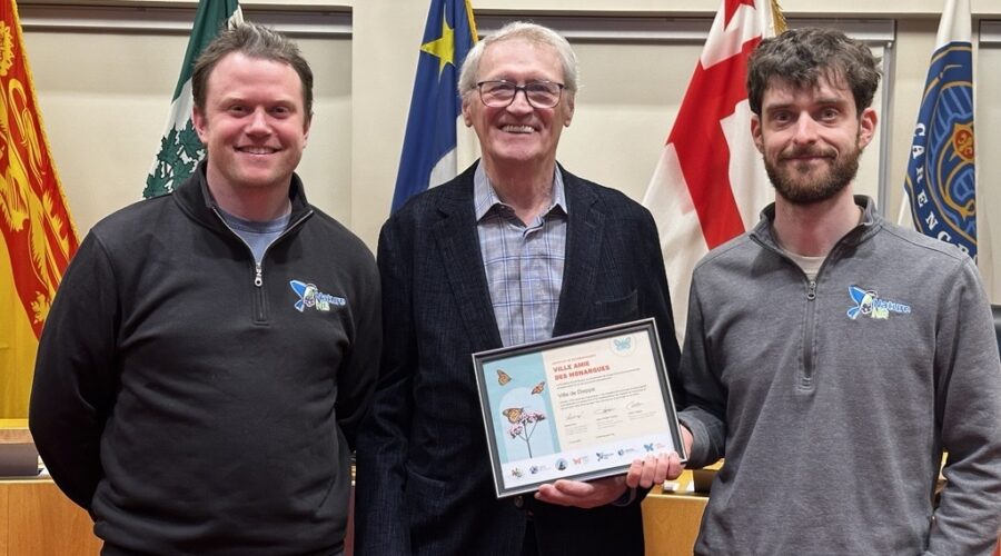 Dieppe joins list of monarch‑friendly cities