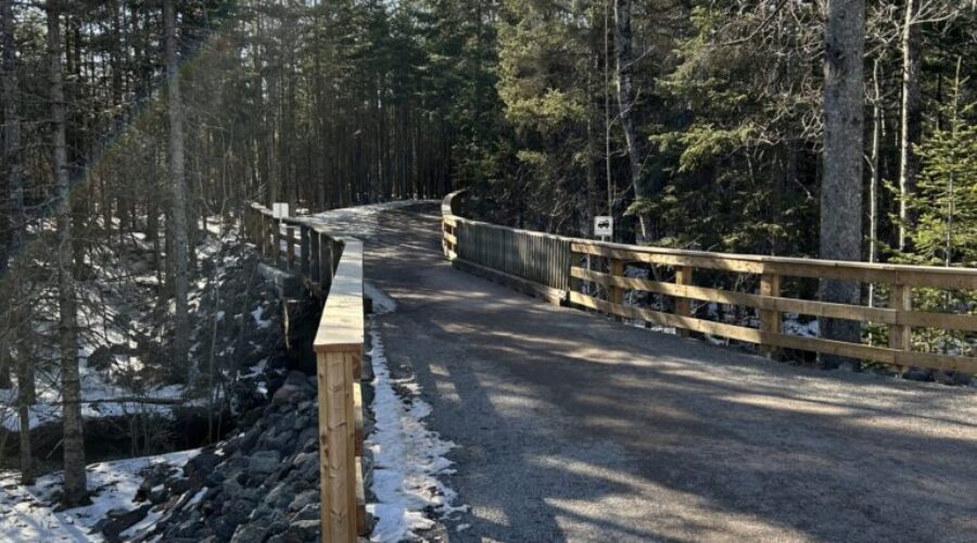 Closures at Mapleton Park for dog race