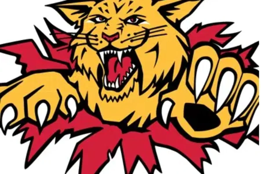 Wildcats on the verge of second-round sweep