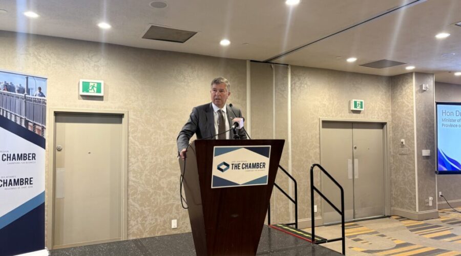 Business, health leaders explore collaboration at Saint John health-care luncheon