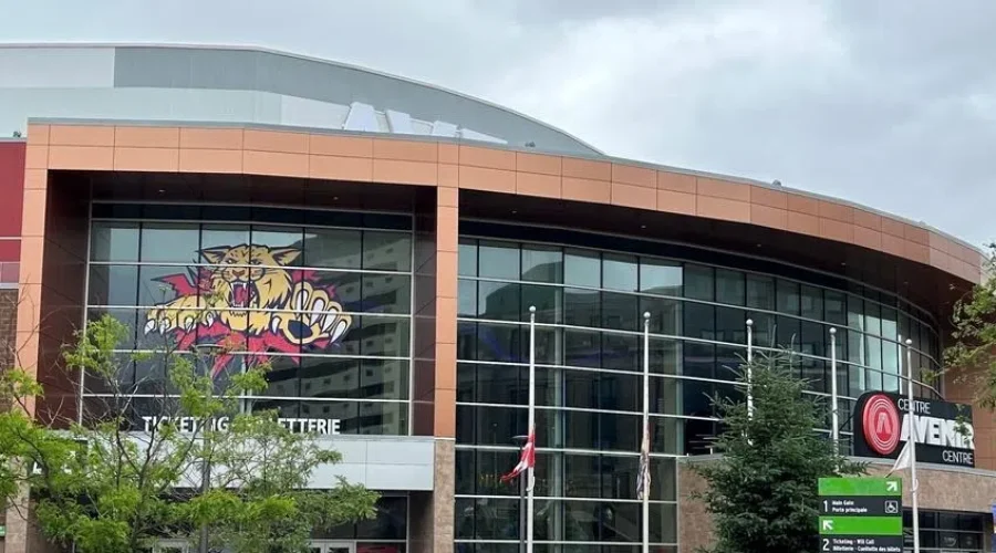 Wildcats host Armada for Game 7