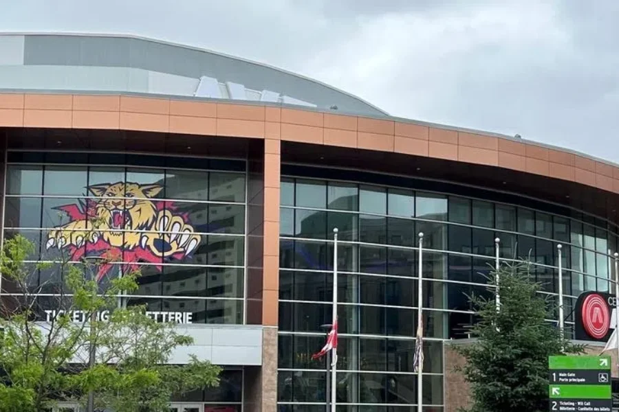 Wildcats host Armada for Game 7