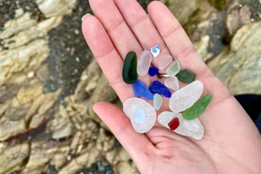 Rare Seaglass in New Brunswick (Part 2)