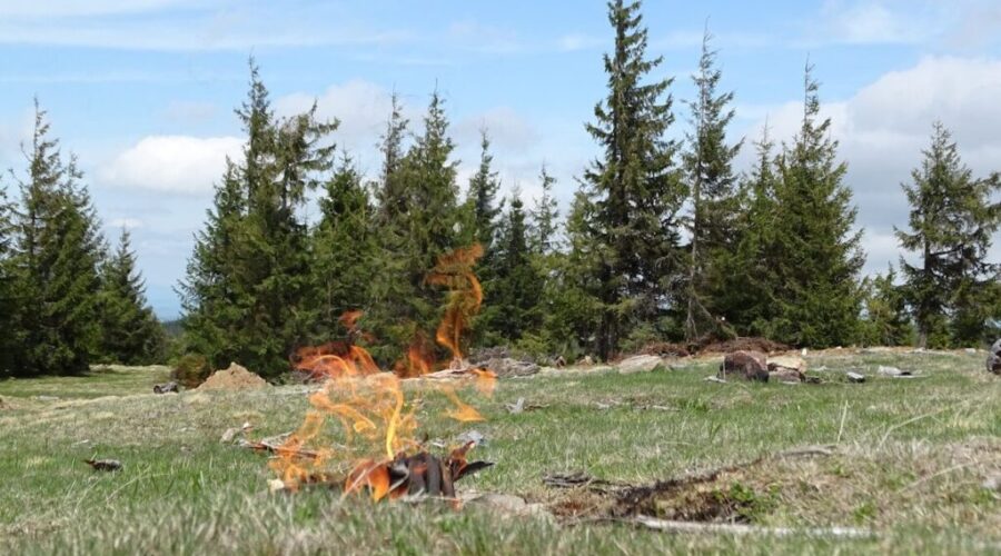 Riverview grass fire sparked from downed power line
