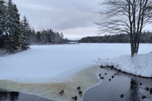 irishtown