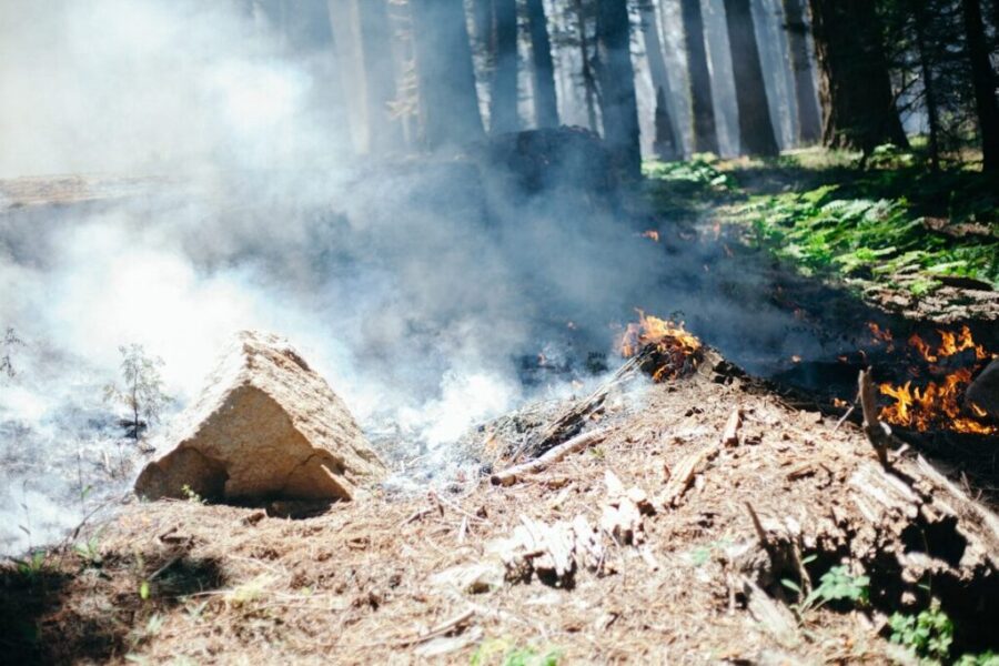 Fires banned over May long weekend