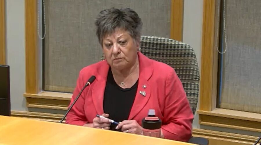 Riverview councillor ruled in breach of conduct rules
