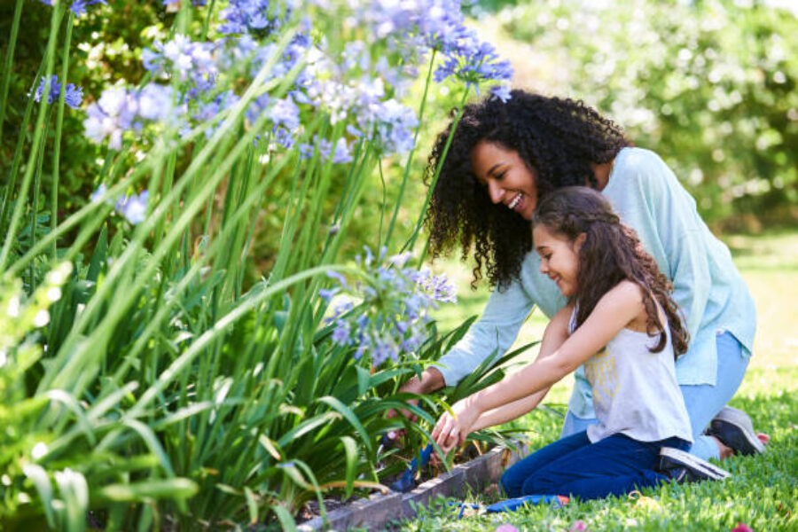 Summer Home Maintenance Tips 