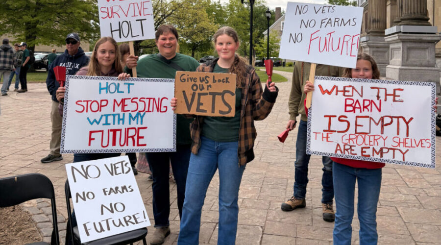 Second rally held against N.B. veterinary service cuts